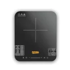 futura single induction_1