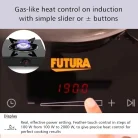 futura single induction_2